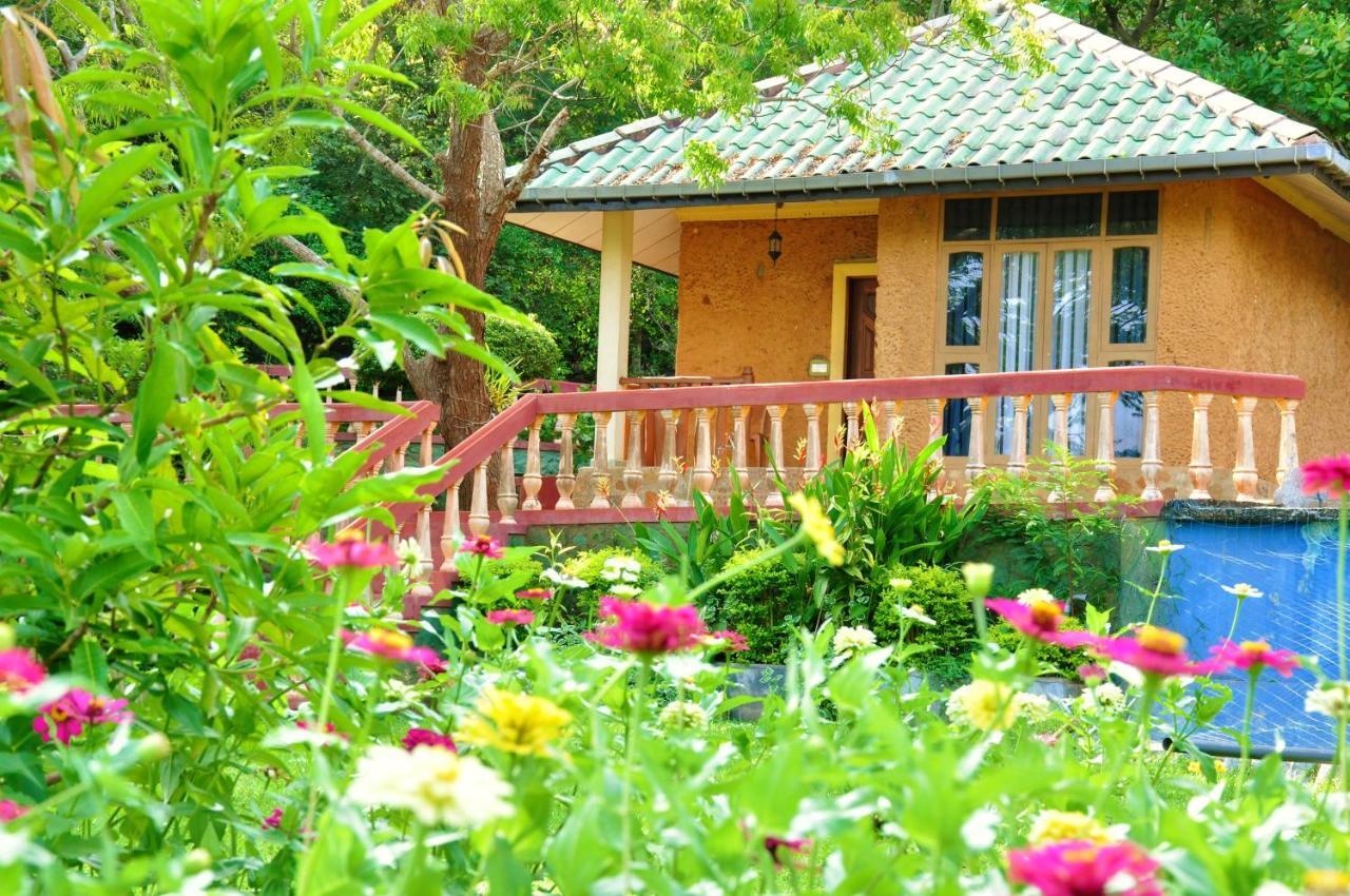 Kodigahawewa Forest Resort Tissamaharama Zewnętrze zdjęcie